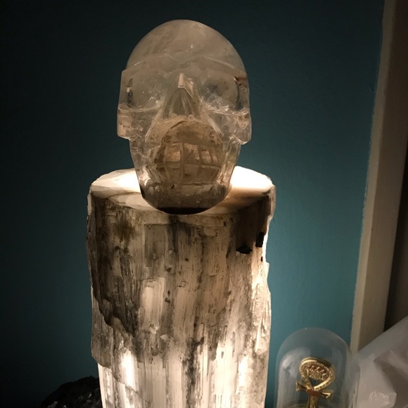 Meet your Posher, Kara - Picture 3 of 8